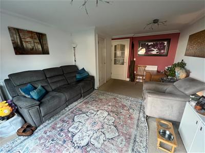Picture 5